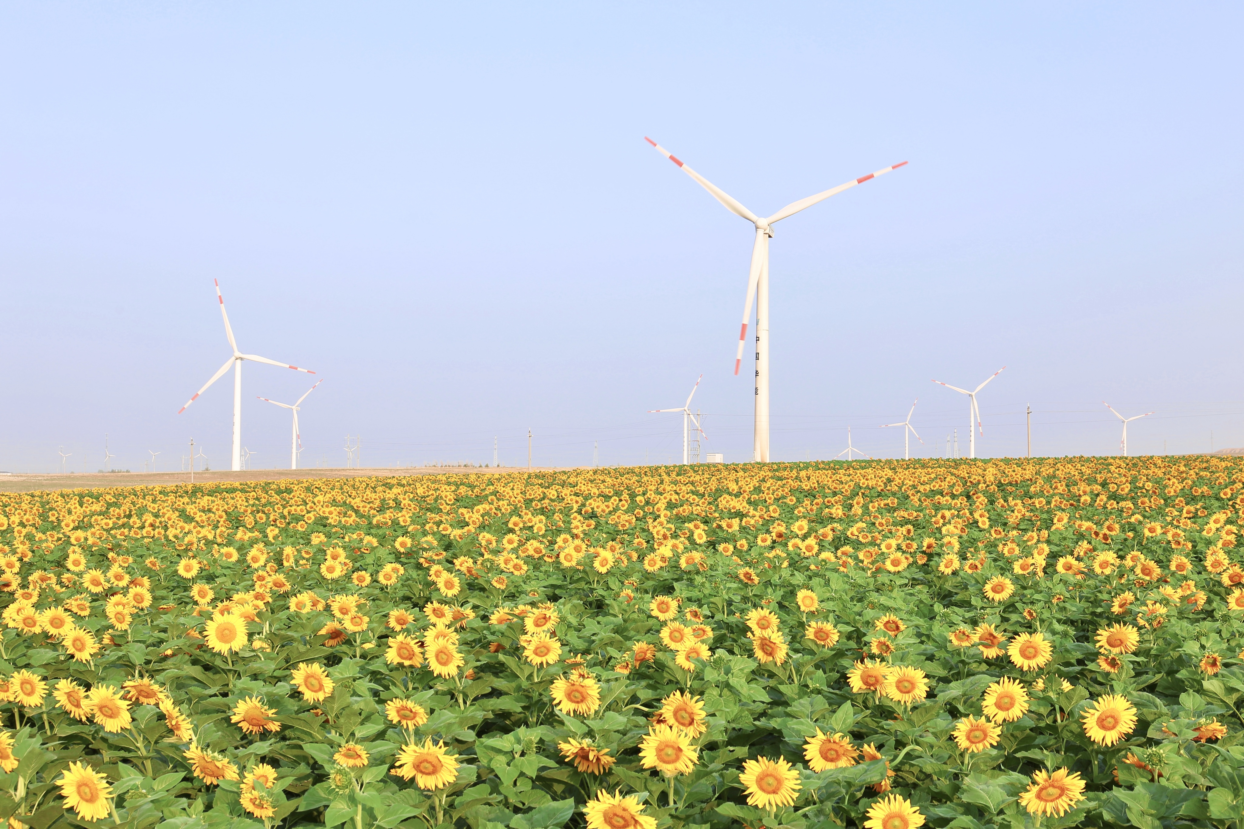 赢咖8助力推动风电场控制技术国际研发项目顺利实施